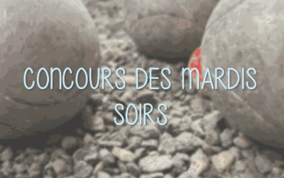 Concours du mardi
